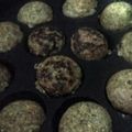 Trupti Chavda's cooksnap of when they made ફણગાવેલા મગના અપ્પમ (Sprouted Moong Appam recipe in Gujarati).