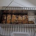 Cooksnap dari Maria Agnes Kewa Nubi untuk resep Brownies gluten free dg tepung ladang lima