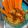 El cooksnap de Montse Rios cuando hizo Hummus de calabaza.