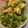 小汶醬 的 青椒炒蛋 cooksnap