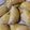 El cooksnap de Fabiana Fabianacaputo96 cuando hizo Empanadas caseras🥟.