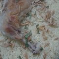صورة من Fatima, kitchen&cook ، شاركها بعد تجربة وصفة منسف دجاج باللبن