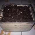 Cooksnap dari Mama Syavinsel untuk resep Ice MILO CAKE