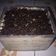 Cooksnap dari Mama Syavinsel untuk resep Ice MILO CAKE