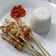 Cooksnap dari AderaAhma Sasmita untuk resep Sate Taichan