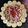 Sil Sukla's cooksnap of when they made কচুম্বর স্যালাড (kachumber salad recipe in Bengali).