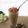 Cooksnap dari Nur Sabatiana untuk resep Milo Dinosaur