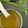 Khyati Kharawala's cooksnap of when they made ઘુટ્ટો(Ghutto recipe in Gujarati).