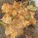 Cooksnap dari Wulandari untuk resep Rica rica tulang ayam