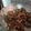 Karachi Y's cooksnap of when they made Peppered snail.