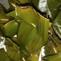 Cooksnap dari Dian FarkhatusSolikha untuk resep Bongko Roti Tawar Pisang
