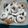 El cooksnap de Vivi Poli cuando hizo Rosquitas o roquillas dulces.