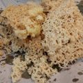 Cooksnap dari Puji Lestari untuk resep Kremesan garing kriuk tahan lama