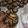 Cooksnap dari Zaenab Ahmad untuk resep Copycat Black**nd Cookies