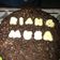 Cooksnap dari suci nugrah untuk resep Brownies kukus tanpa mixer
