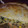 El cooksnap de Andrea cuando hizo Tarta pascualina.
