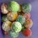 Cooksnap dari Erni Anjar untuk resep Bola bola susu/ milky ball