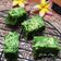 Cooksnap dari Cooking With Dinda untuk resep Cake Bayam Hijau Oven Tangkring