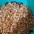 Cooksnap dari Jenny Tio untuk resep Kacang Bawang Asin Gurih Dan Renyah