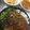 Cooksnap dari Putri Langga untuk resep Nila goreng krispi & sambal sari laut