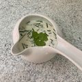 El cooksnap de Alicita cuando hizo SOUR CREAM al Cilantro☘️...!.