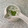 El cooksnap de Alicita cuando hizo SOUR CREAM al Cilantro☘️...!.