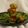 Mauli Mankad's cooksnap of when they made ફલાફલ (Falafel Recipe In Gujarati).