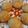 Rashida Minhaj's cooksnap of when they made Chicken patties.