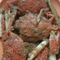 Cooksnap dari Inneke_Mamina untuk resep Kepiting saus tiram