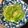 Lin Shu Jhen 的 香拌A菜心 cooksnap