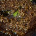 Cooksnap dari firdani antika untuk resep Sambal Terasi Tahan Lama