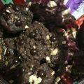 Cooksnap dari Yati_resmiana untuk resep Cookies good time