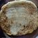 Ashika Somani का कुकस्नैप जब उन्होंने रवा डोसा (rava dosa recipe in Hindi) बनाया था।