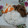 Cooksnap dari Ajenk untuk resep Beef Teriyaki Ala Hokben