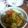 Cooksnap dari Mas Idriss untuk resep Marak Daging Kambing