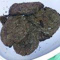 El cooksnap de Solci cuando hizo Maxi galletas brownies.