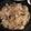 gnatae.stewart's cooksnap of when they made fried cabbage.