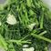 Jeremy's Kitchen 的 蒜炒空心菜 cooksnap