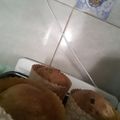 El cooksnap de Carlos Lobo cuando hizo Pan dulce.