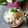 Cooksnap dari KasMira untuk resep Salad Jelly