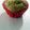 CasualCook88's cooksnap of when they made Mini Zucchini Muffins.
