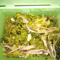 Cooksnap dari inneke afifah fadhilah untuk resep Tumis Kembang Kates (bunga pepaya)