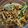 Cooksnap dari Newbie untuk resep Kering tempe pedes manis