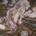 صورة من نسيم البحر 🌊، شاركها بعد تجربة وصفة يبرق او ورق عنب