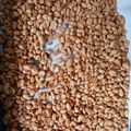 Cooksnap dari Ina Hayatun Nisma untuk resep Kacang Goreng Bawang