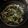 Lisa Chartier's cooksnap of when they made Tips：Stir fry Pak Choi like a pro.