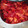 El cooksnap de johannagarrido cuando hizo Morrones en aceite muy fáciles.