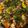 Fary Feroz's cooksnap of when they made Mutton dum biryani.