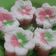 Cooksnap dari Bunda Julie untuk resep Kue Putu Ayu Lembut Simpel (Tanpa Mixer)