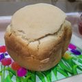 El cooksnap de Lore cuando hizo Pan rápido en panificadora Moulinex Pain Doré.